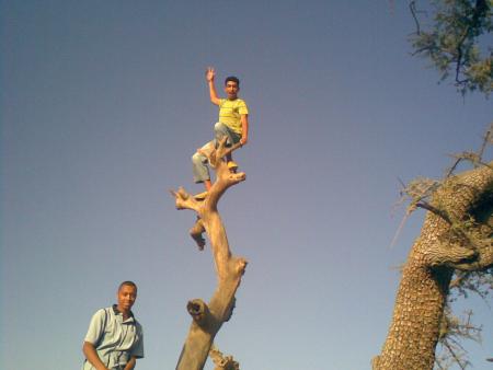 APOCALYPs