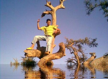 KWIKIWA     APOCALYPS    KWIKIWA