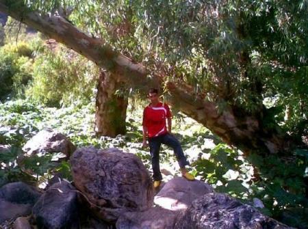 KWIKIWA     APOCALYPS    KWIKIWA